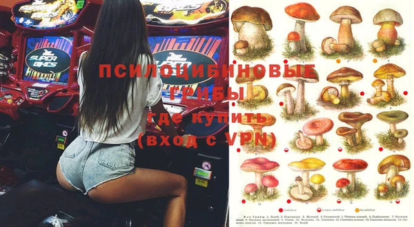 ешки Алексеевка