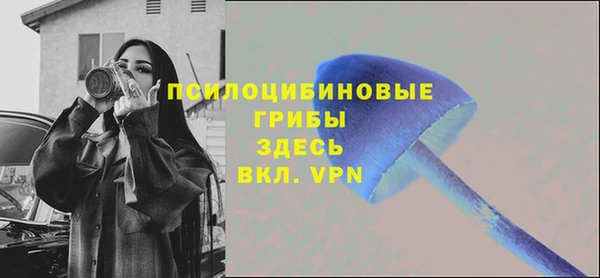 соль курить ск Алзамай