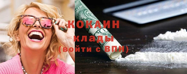 твердый Алексин