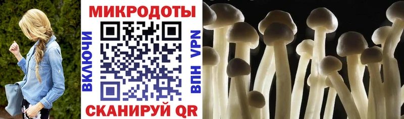 дарнет шоп  Ржев  Псилоцибиновые грибы мухоморы 